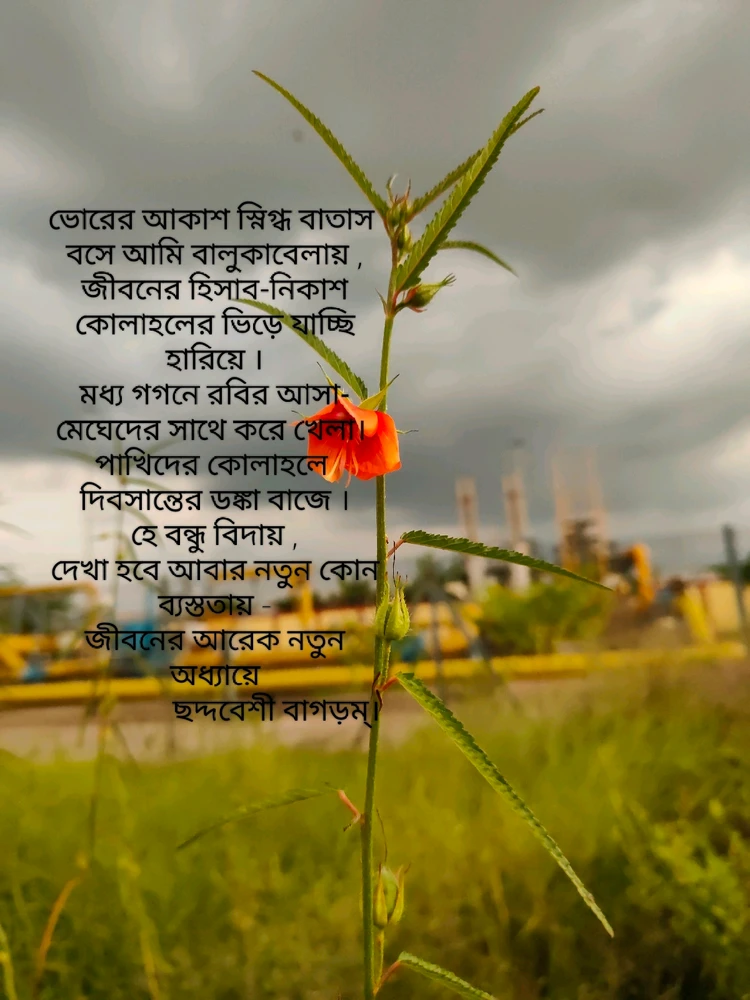 GIF uploaded by Rishi Bhattacharjee
