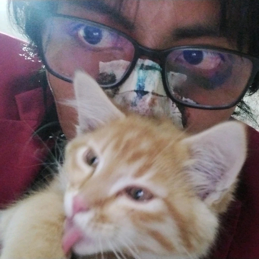 GIF subido por Romel