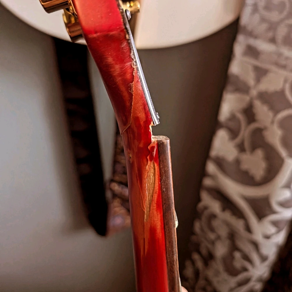 Image uploaded by Liam