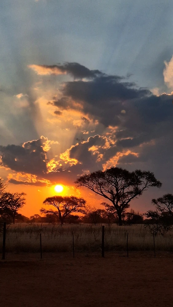 GIF uploaded by Pablo