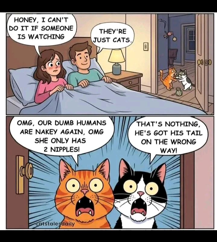 Гіфку завантажив Ksju_Ost