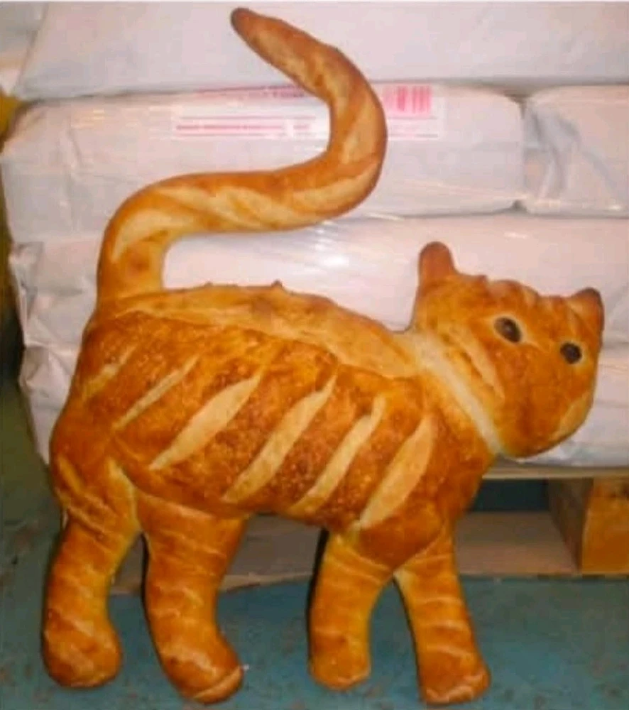 GIF hochgeladen von Doris