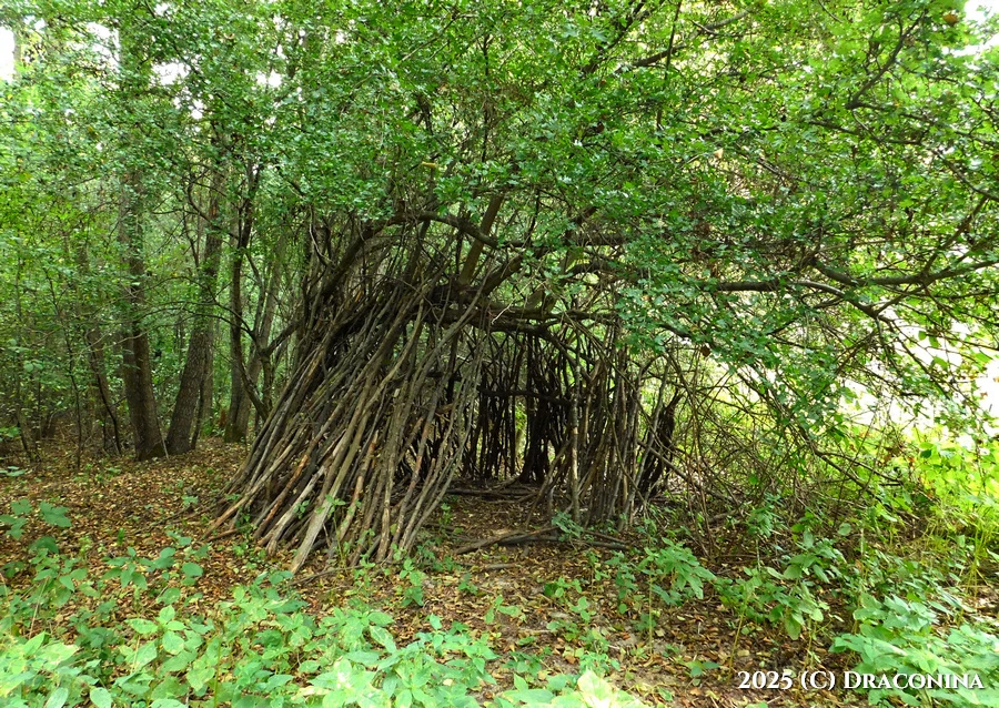 Zdjęcie dodane przez Czarna_Kosmitka