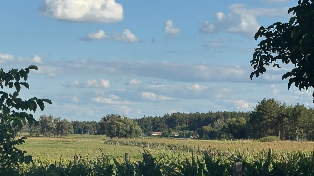 The last days in a country house in the village