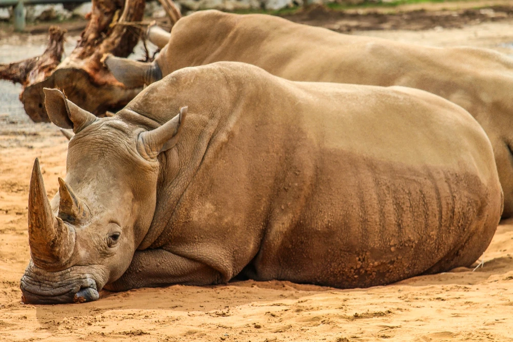 GIF uploaded by Kris