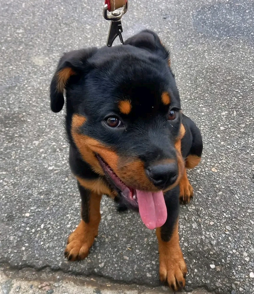 GIF enviado por Bruno Pinheiro