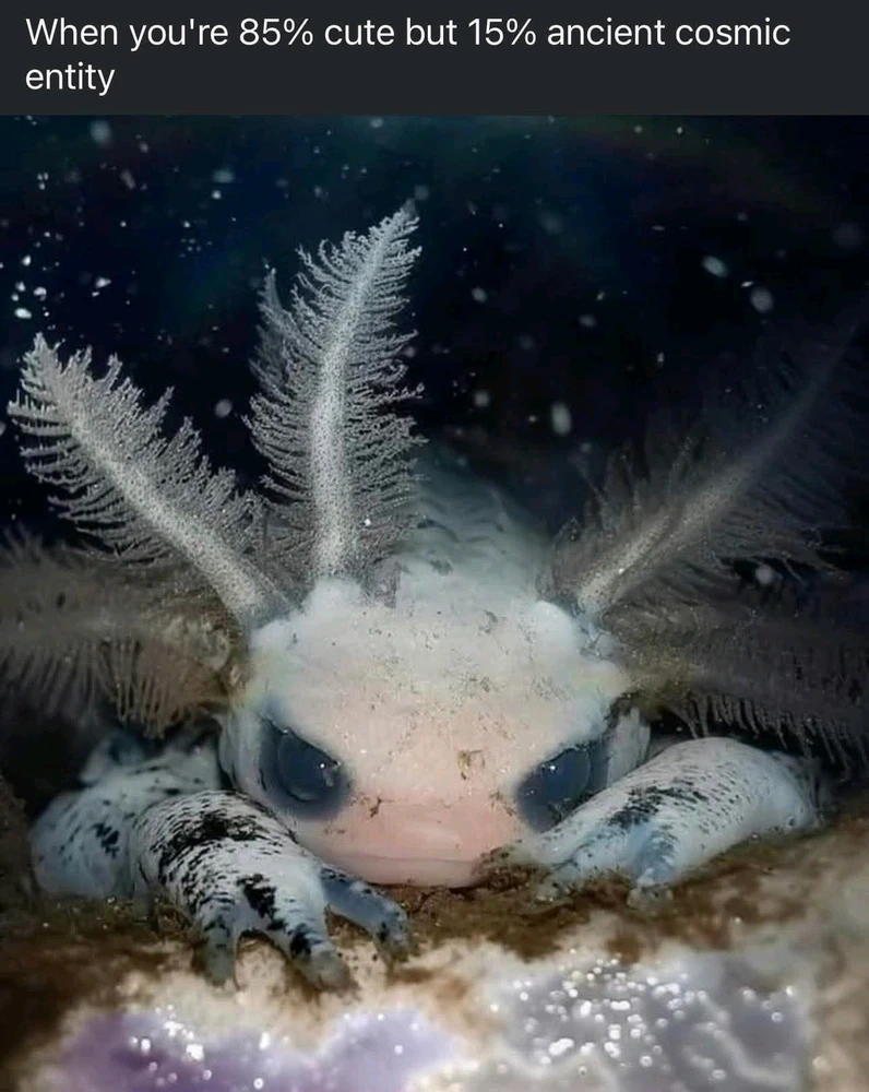 GIF uploaded by Bryce