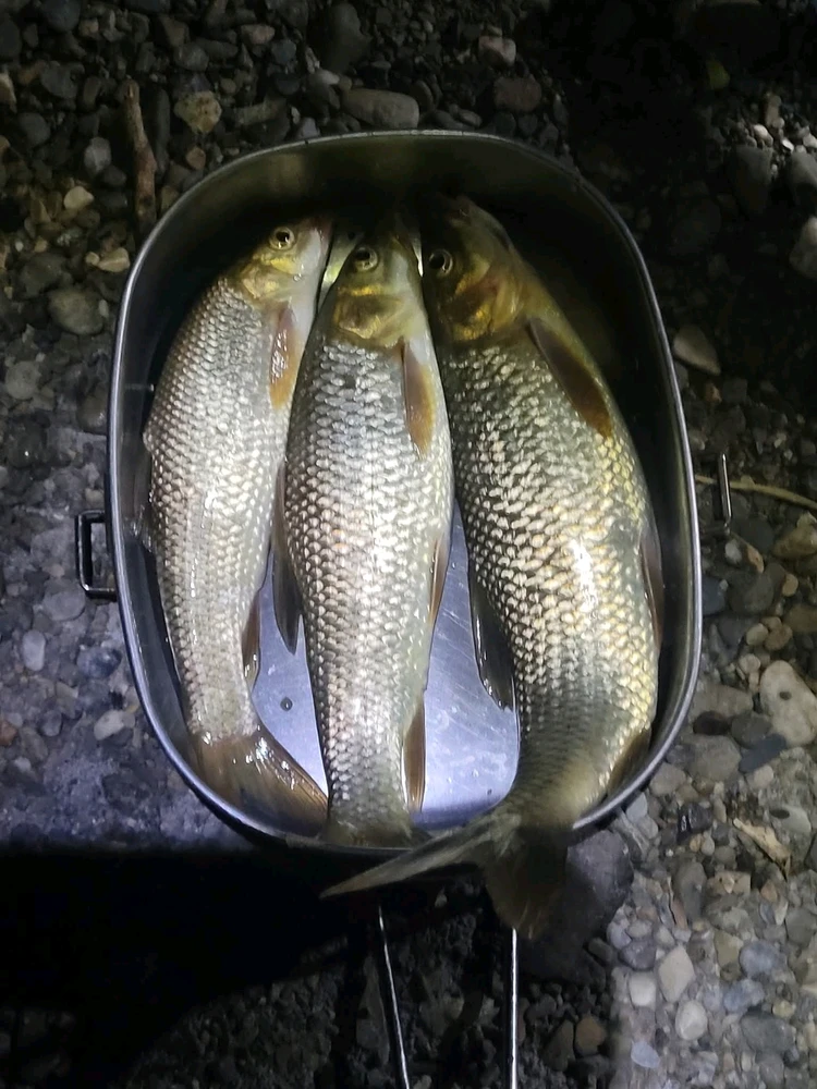 GIF uploaded by Zakaria Ouldkhyi