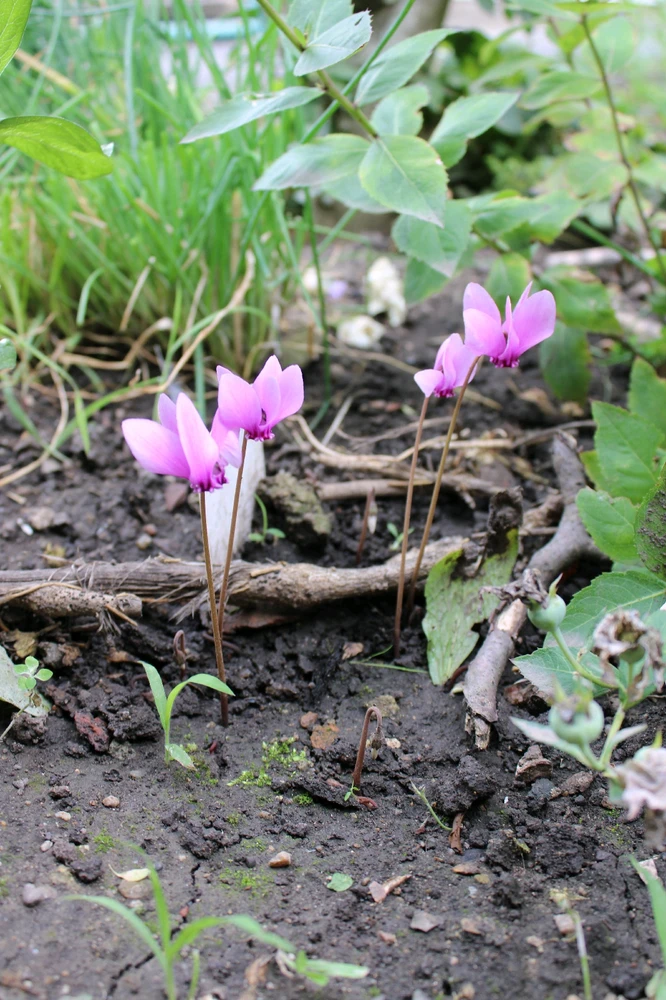 GIF nahrál ⭕⭕ Hlubina