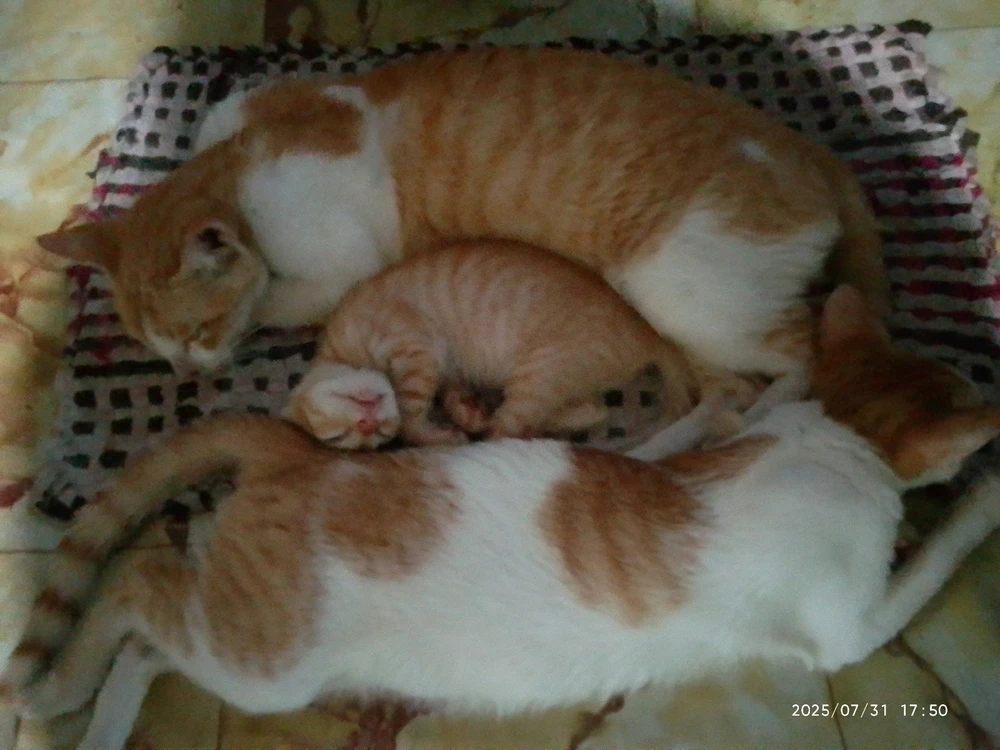 Image uploaded by Marvie