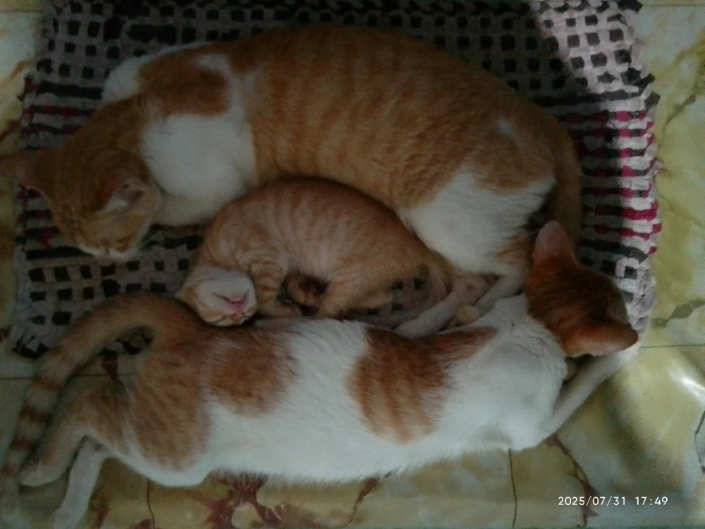 Image uploaded by Marvie