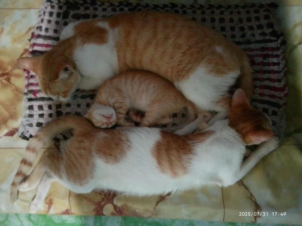 Image uploaded by Marvie