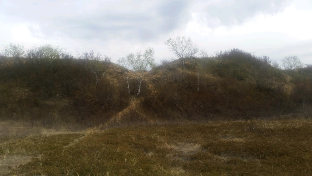 Gambar diunggah dening Zachary Trent