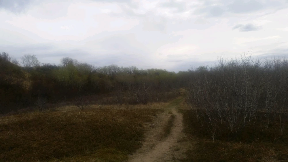 Gambar diunggah dening Zachary Trent