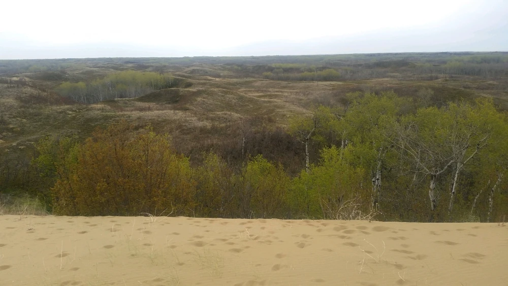 Gambar diunggah dening Zachary Trent