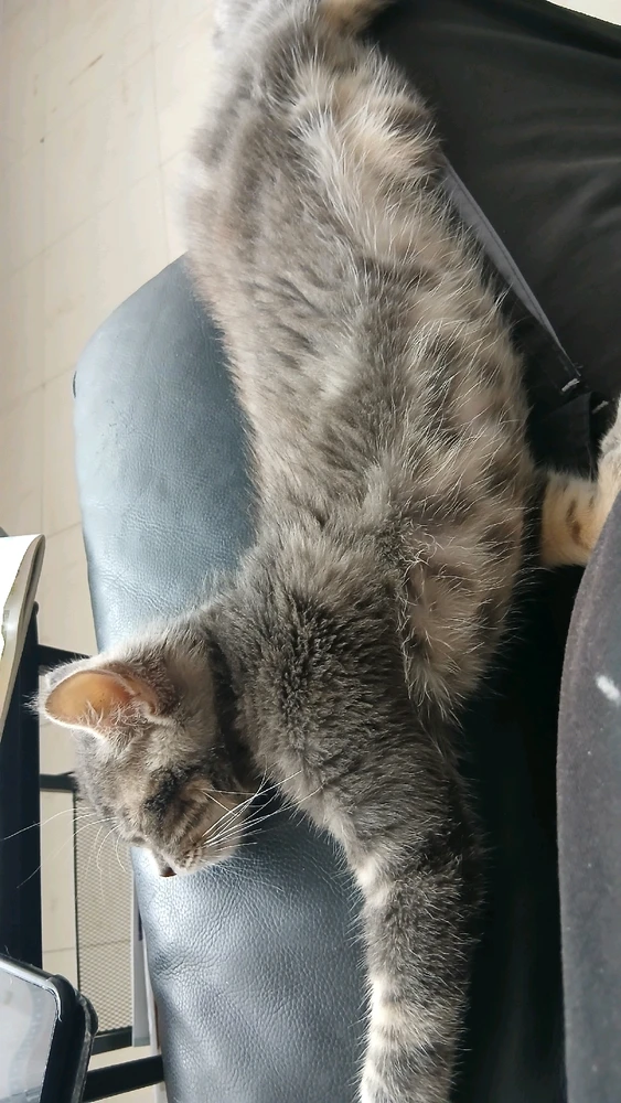 GIF ajouté par Jean marie