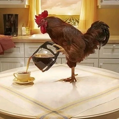 GIF enviado por Bora um café?
