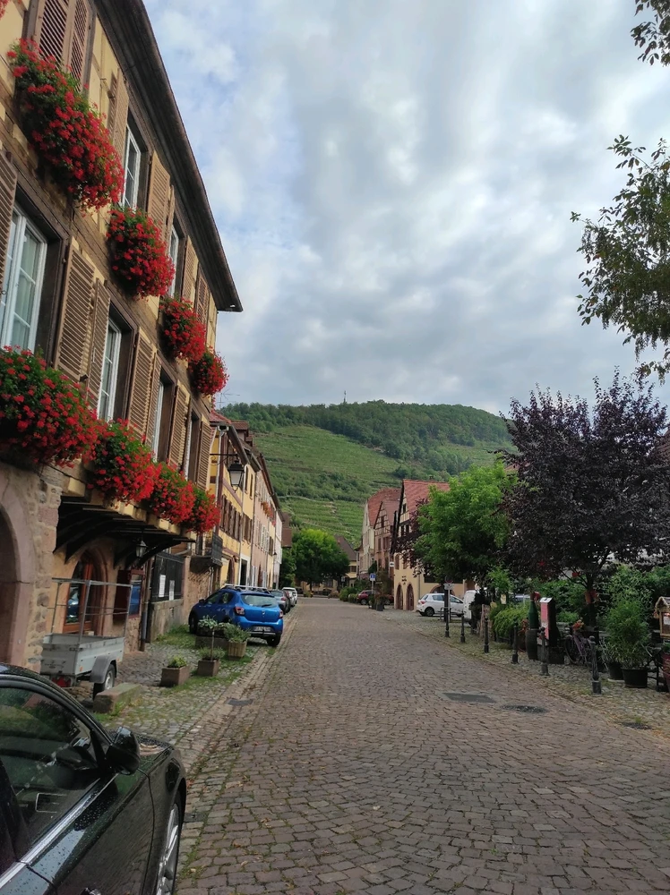 Découverte ce jour de Kaysersberg