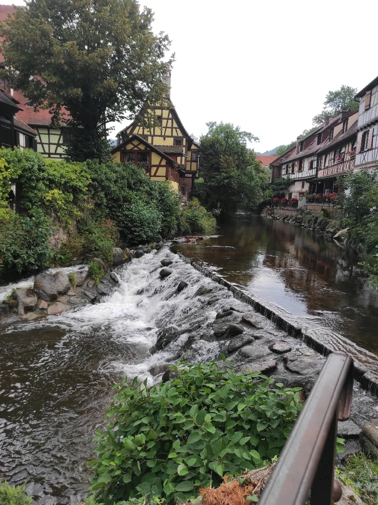 Découverte ce jour de Kaysersberg