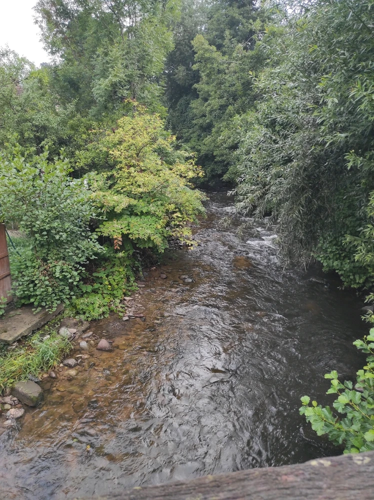 Découverte ce jour de Kaysersberg