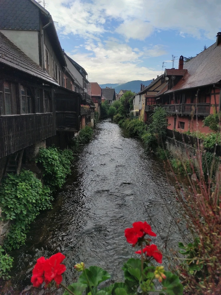 Découverte ce jour de Kaysersberg