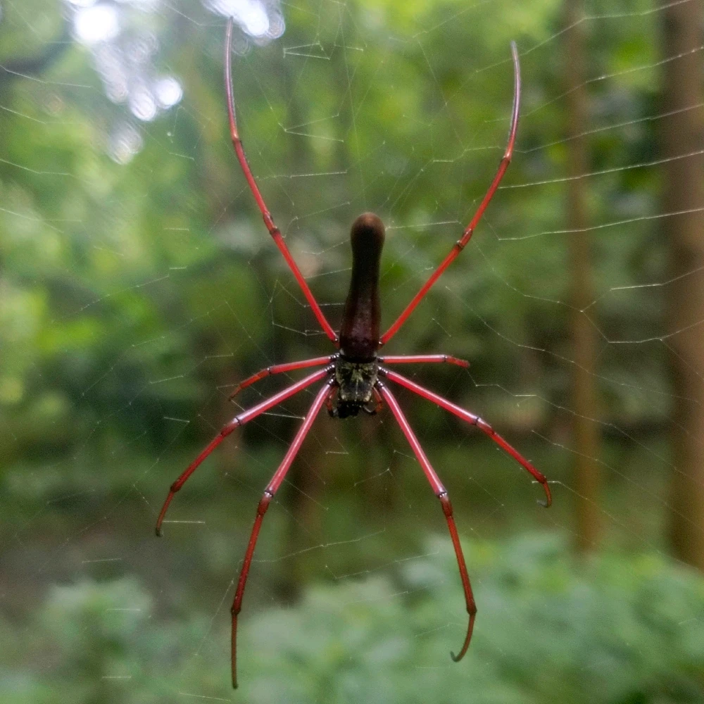 Image uploaded by Niloy