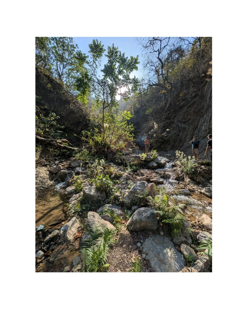 GIF uploaded by Shivank