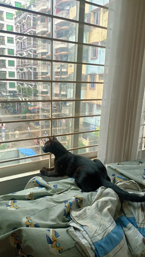 Image uploaded by Amir