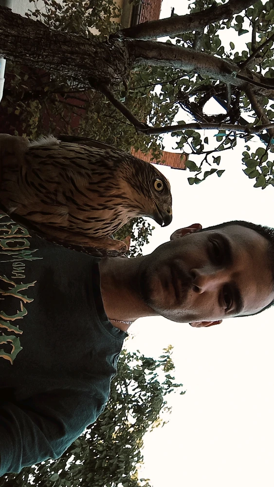 Gambar diunggah dening Mox