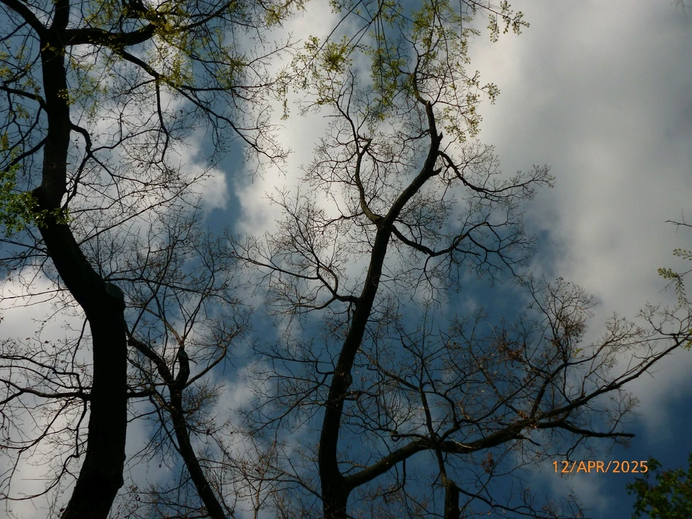 GIF uploaded by Alex