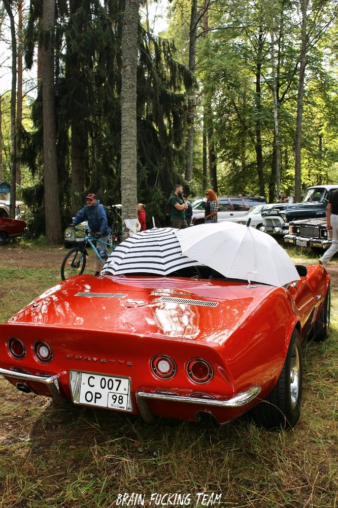 GIF загрузил Александр