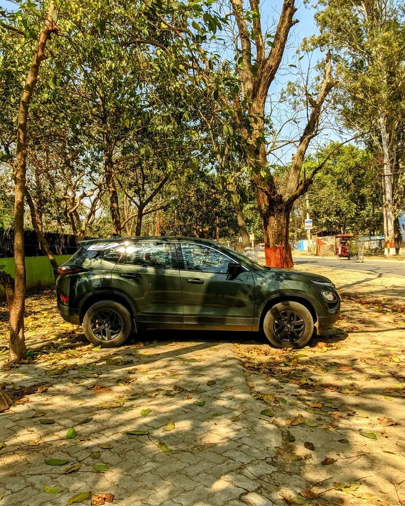 GIF uploaded by Minaal