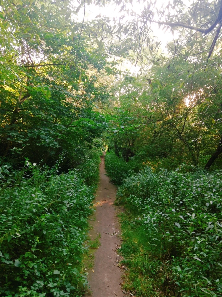 Zdjęcie dodane przez Pytaj, a się dowiesz.