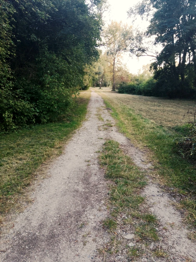 Zdjęcie dodane przez Pytaj, a się dowiesz.