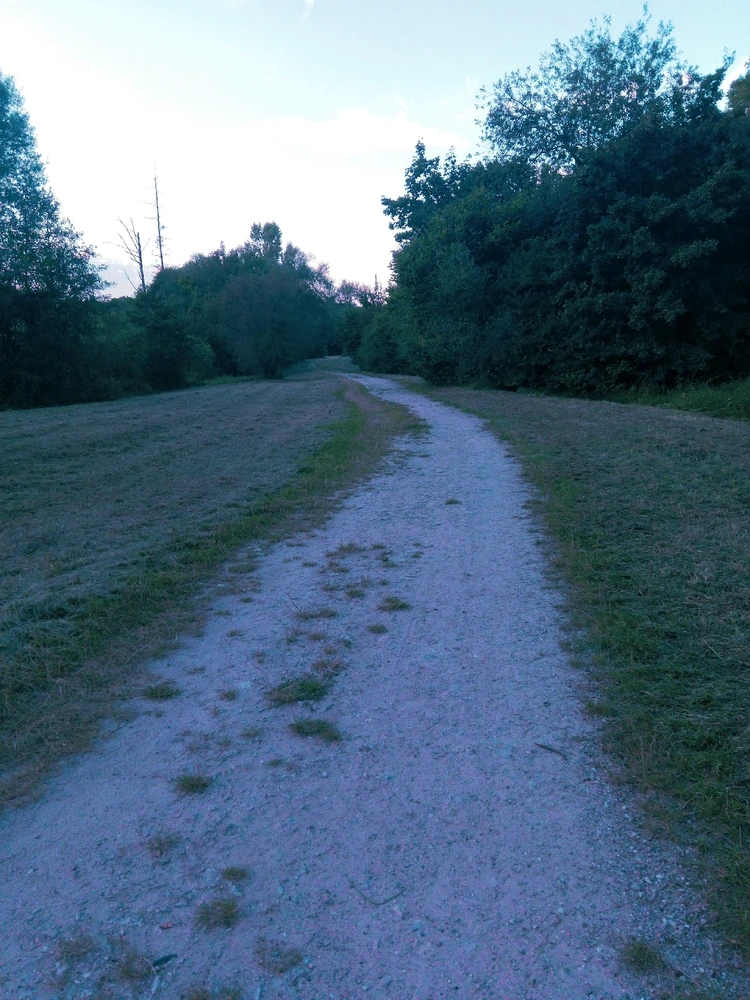 Zdjęcie dodane przez Pytaj, a się dowiesz.