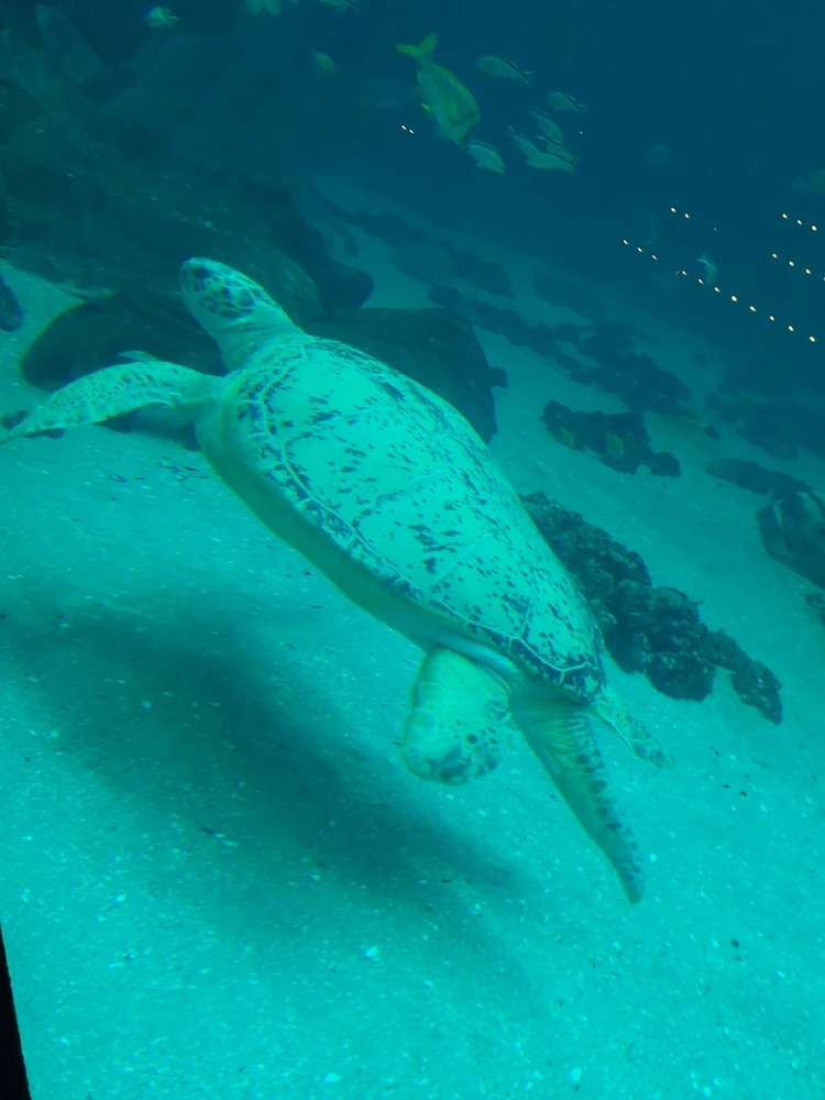 GIF uploaded by Jonathan