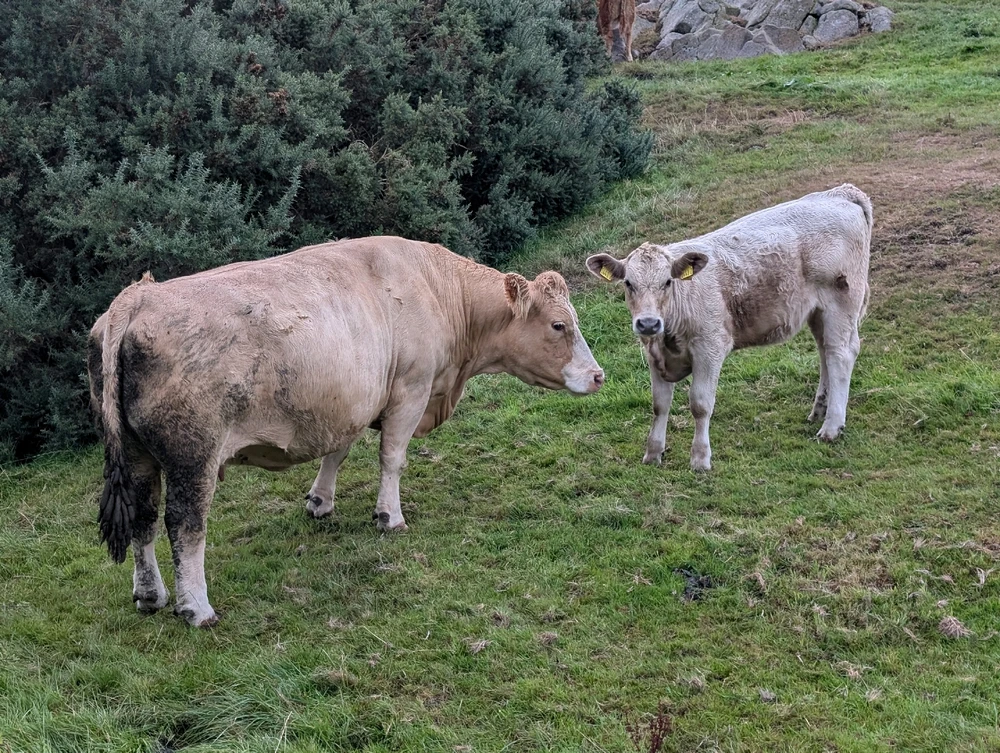 GIF uploaded by Graeme