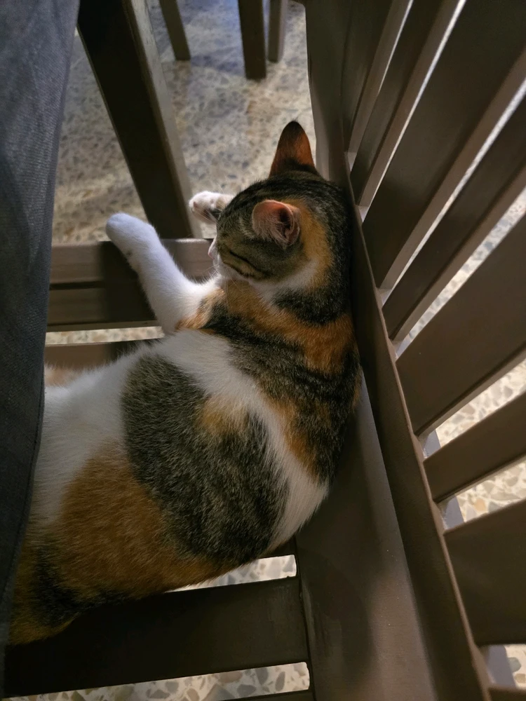 Bild hochgeladen von Rainer