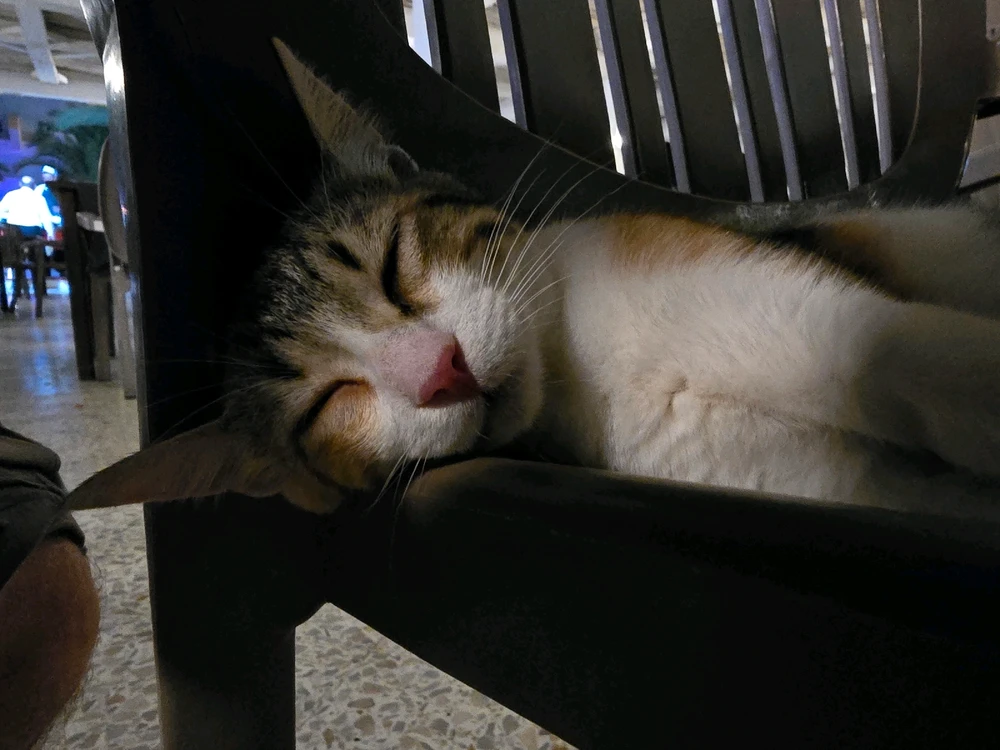 Bild hochgeladen von Rainer