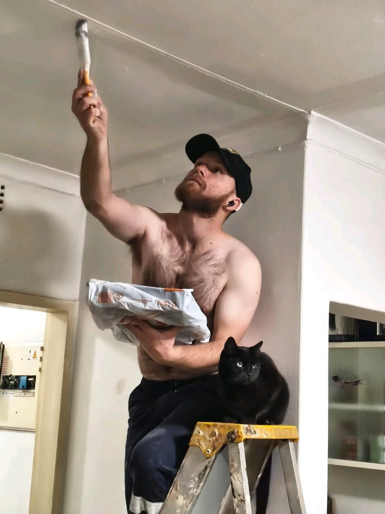 Connor上傳的圖片