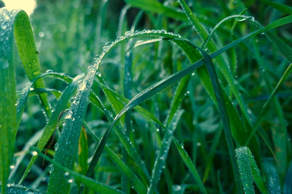 GIF ajouté par Oriane