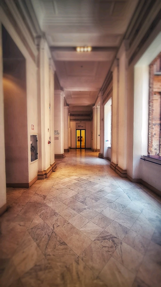 Image uploaded by Direnzi