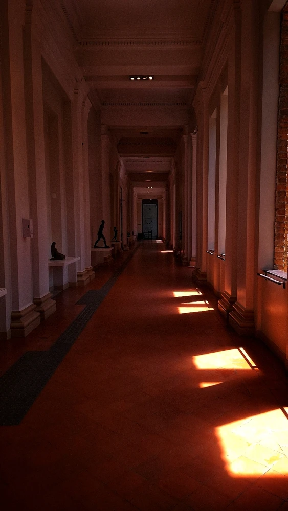 Image uploaded by Direnzi