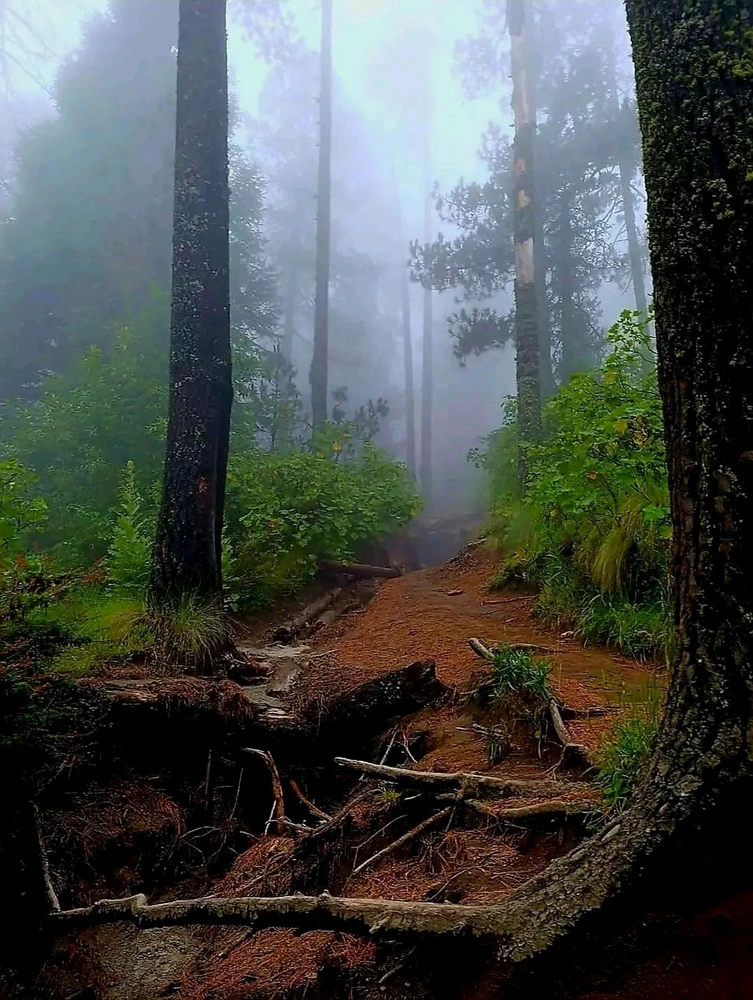 ❄️ Kinda chilly mover here ❄️