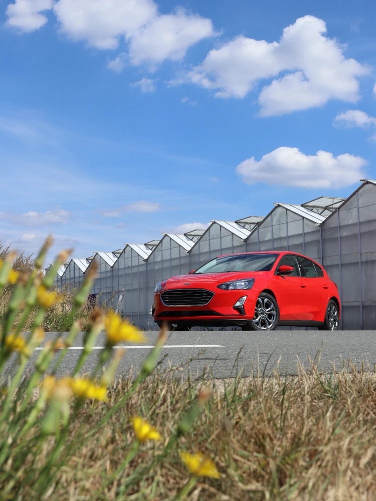 GIF uploaded by Thom