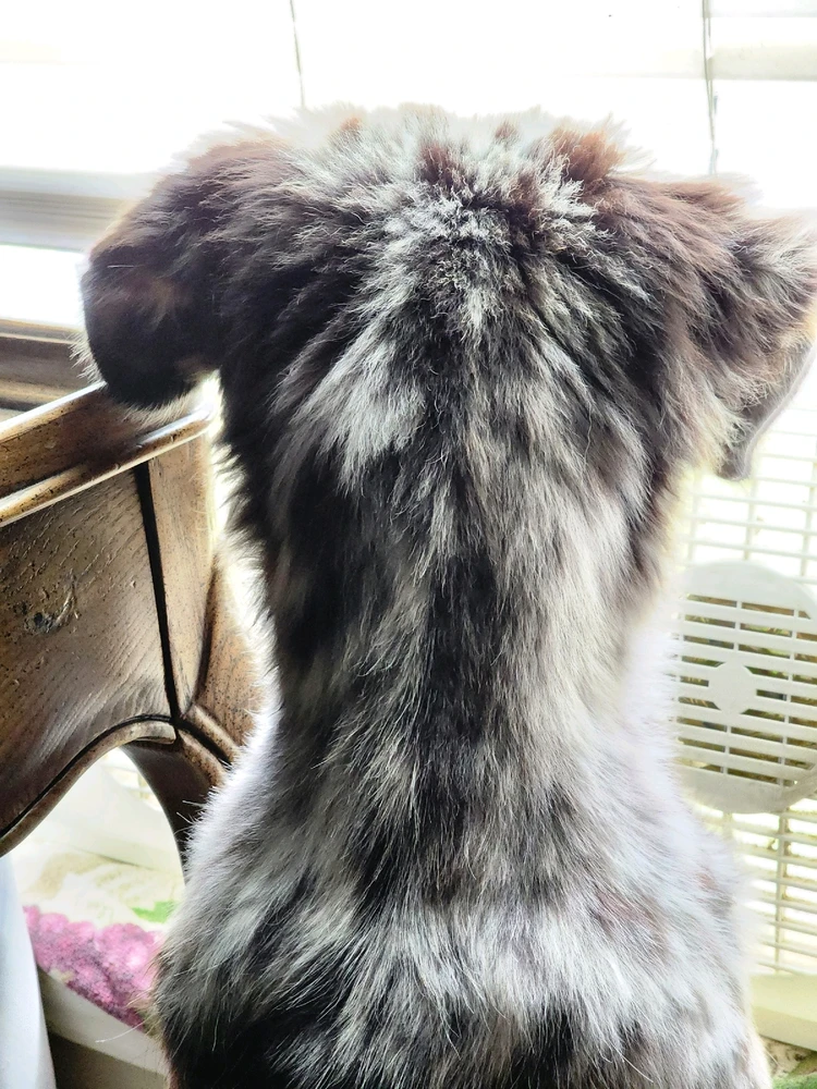 GIF uploaded by Skye