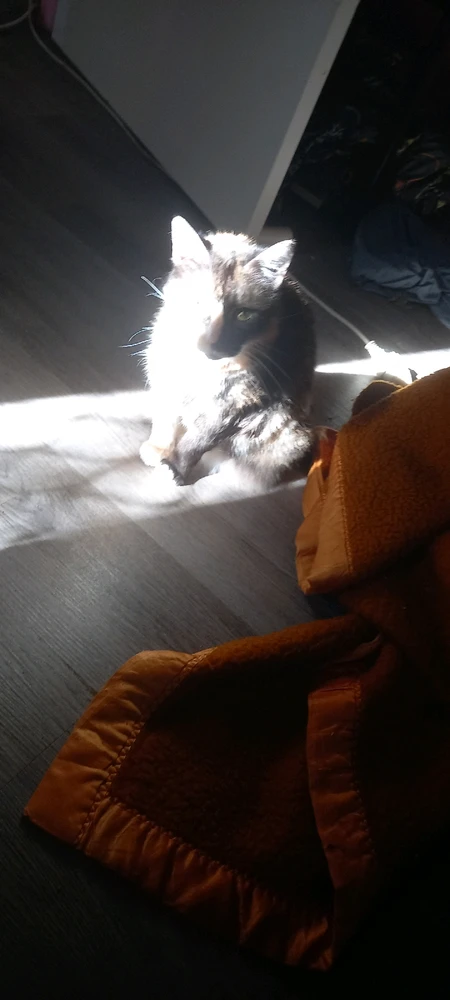 GIF uploaded by Bryce