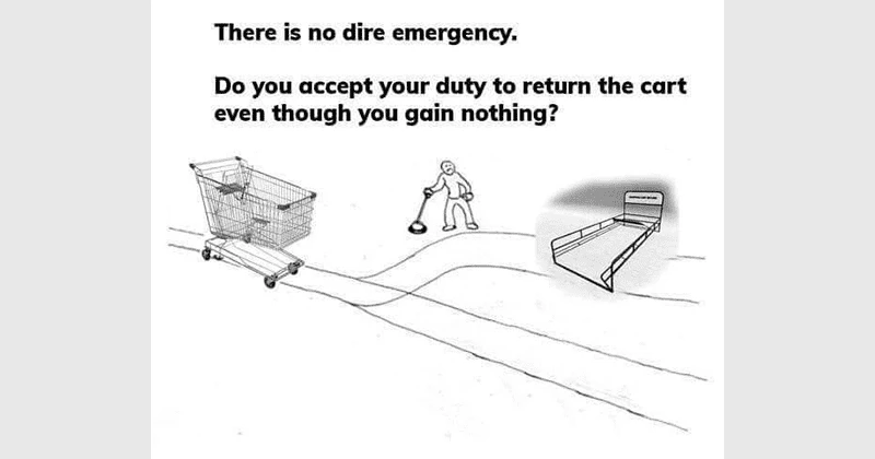 GIF uploaded by Reef