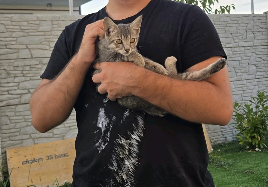 GIF încărcat de Cristian-Andrei Păuna