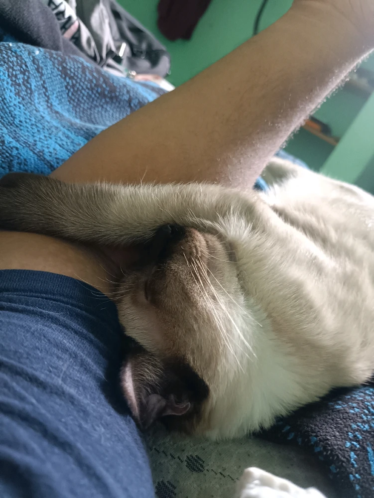 GIF subido por Jesús (Shiro)